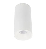 Oren LED Surface Mount Downlight Can