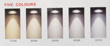 Nest Gimble adjustable LED Down Light Five Colour CCT