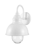 Parkway Wall Exterior Light with Clear Glass (Small)