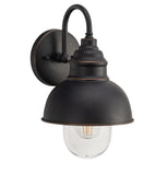 Parkway Wall Exterior Light Antique Bronze/Clear