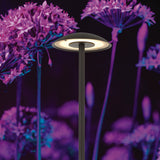 Luc 3w LED Landscaping Garden Spike Post Light Bollard Black