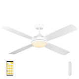 Mercator Ikuu Anova DC 4 Blade ABS 52'' 1320mm Smart Wifi App Remote Ceiling Fan with LED LIGHT