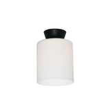 Jake DIY Opal Glass Batten Fix