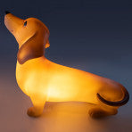 Dachshund Sausage Dog LED Table Night Light Lamp