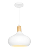 Sloan 1lt Metal Dome Pendant Light