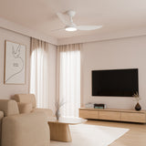 Calibo Clayfield 3 Blade ABS DC Remote Control Ceiling Fan with LED Light