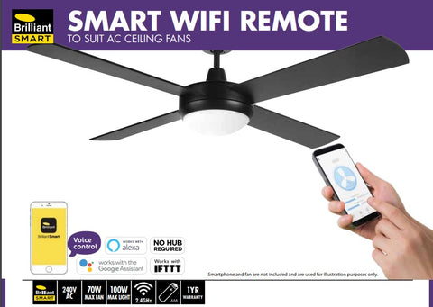 Voice controlled ceiling store fan