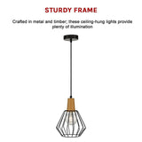 Cage 1lt Pendant with Wood
