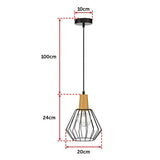 Cage 1lt Pendant with Wood