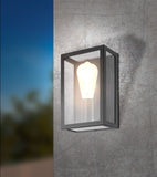 Alamonte 1 Wall Exterior Light Black/Clear