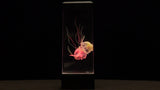 Jelly Fish Lamp with LED Colour Changing