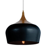 Polk 1lt Metal Pendant Light