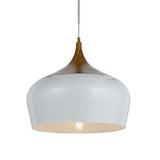 Polk 1lt Metal Pendant Light