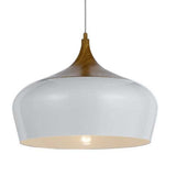 Polk 1lt Metal Pendant Light